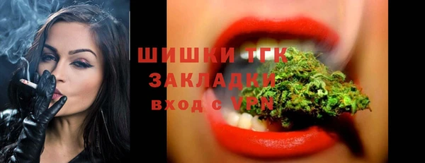 гидропоника Белокуриха