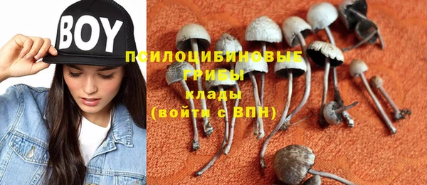 гидропоника Семёнов