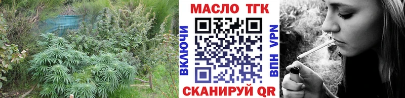 Дистиллят ТГК концентрат  купить наркоту  Вятские Поляны 