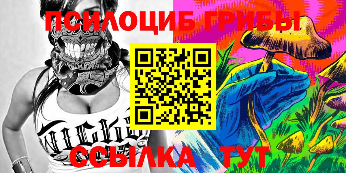 Псилоцибиновые грибы Psilocybine cubensis Вятские Поляны